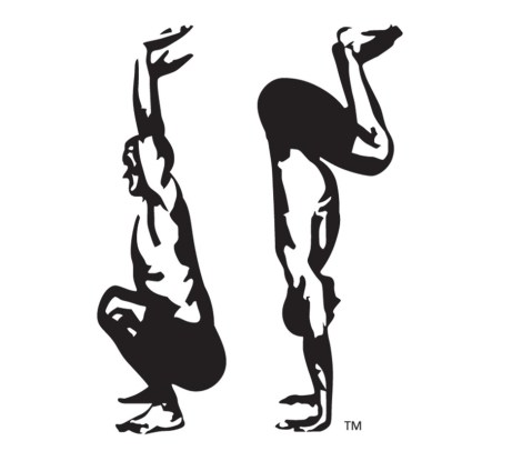 Ausinheiler Logo from vector no text