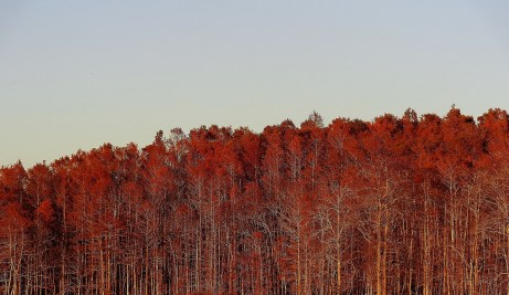 15666582117_21ddefa365_o